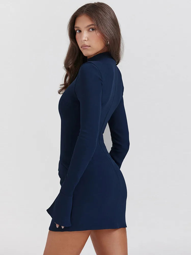 Long Sleeve Mini Dress