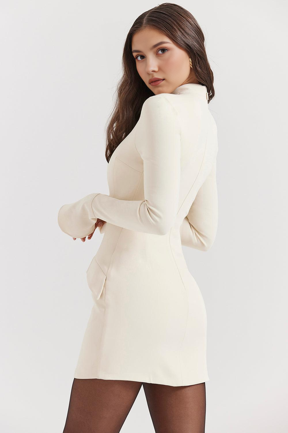 Long Sleeve Mini Dress
