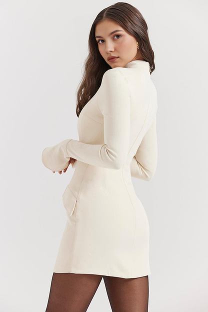 Long Sleeve Mini Dress